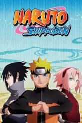 1723334091_Naruto-Shippuden-Hindi-Dubbed-Anime-Series.jpg