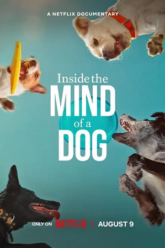 1723334298_Inside-the-Mind-of-a-Dog.png