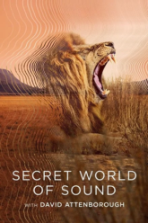 1723336959_Secret-World-of-Sound-with-David-Attenborough.png