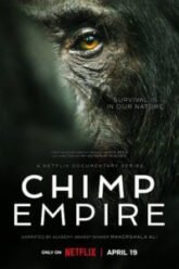 Chimp-Empire-2023-Season-1.jpg