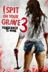 I-Spit-on-Your-Grave-Vengeance-Is-Mine-Hindi-Dubbed.jpg