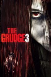 The-Grudge-3.jpg